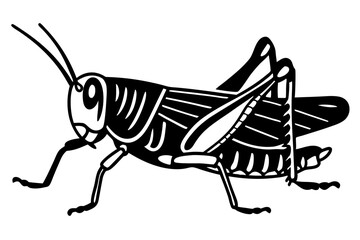 grasshopper  silhouette vector