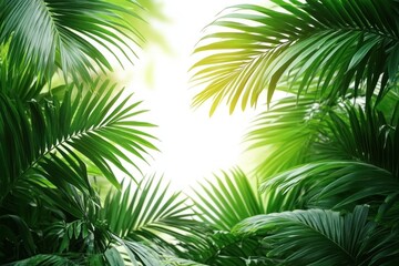 Naklejka premium Bright sunlight shining through lush green palm leaves creating a fresh and vibrant tropical atmosphere