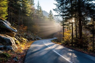 Obraz premium Autumn Forest Road With Sunlight Rays