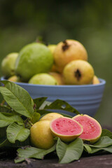 Essence of Brazil – Natural Beauty from Forests, Waters, and Fruits