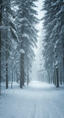 Obraz premium Snow-covered trees stand majestically, creating a serene winter wonderland. The crisp air and silent landscape offer peace.