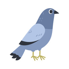 Cartoon Pigeon Vector Illustration