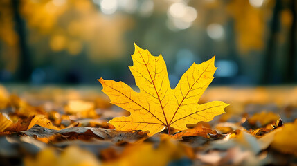 Vivid golden autumn leaf on fallen foliage.