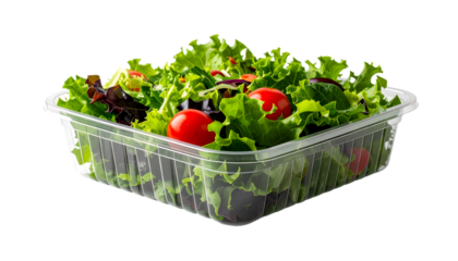 Salad in Plastic Container with Tomatoes