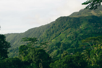 Majestic Landscapes of Sri Lanka. Breathtaking Beauty Capturing the Serene Essence of Nature in Stunning Landscapes. A Journey Through Picturesque Nature Landscapes. The beauty of Nature’s Landscape