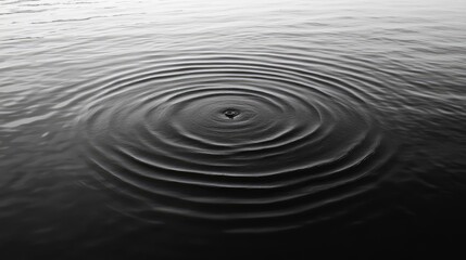Fototapeta premium Water Ripples with Calm Surface, and Black and White.