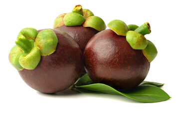 Fresh mangosteens on green leaves. isolated on a white background.