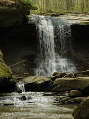 Obraz premium waterfall in the forest