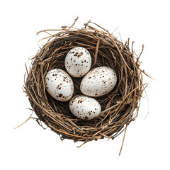 Obraz premium a nest with four eggs and a few twigs