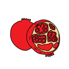 Pomegranate fruit on white background. Cartoon Style Illustration