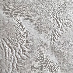 Abstract Gray And White Texture Background