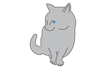 座っている青い目のグレイの猫