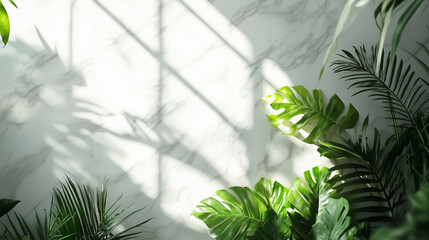 Minimalist wall of bathroom with marble tiles and lush green plants for background