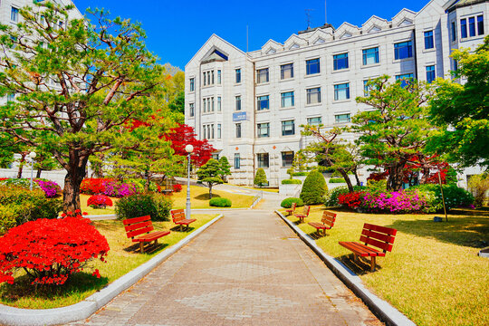 Yonsei, University, Seoul, South Korea: 04 30 2025: Spring landscape of Yonsei, University, Seoul, South Korea