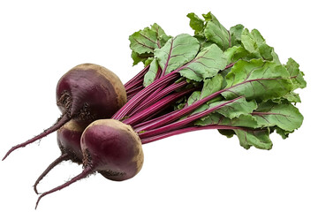 a bunch of beets with leaves on a white background