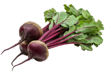 a bunch of beets with leaves on a white background
