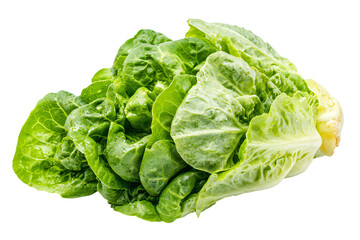 Obraz premium a pile of lettuce on a white surface
