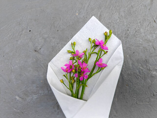 The flowers of the Javanese gingseng plant or Talinum paniculatum are purple in color.