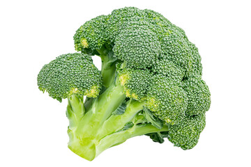 a close up of a piece of broccoli