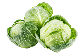 Fototapeta premium three cabbages are stacked on top of each other