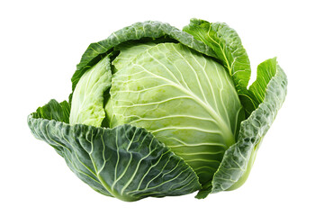 Obraz premium a head of cabbage on a white background