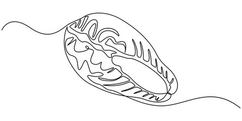 Meat Single Line Icon, Continuous one line vector drawing of piece of fish salmon line art, Vector illustration continuous one single line drawing of piece of salmon cut across in silhouette.