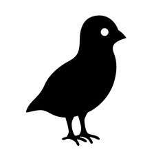 Silhouette of a Small Bird Standing with a White Eye on White
