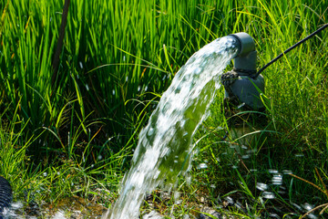 Irrigation of rice fields using pump wells with the technique of pumping water from the ground to...