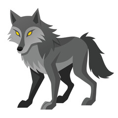 A gray wolf with piercing yellow eyes walks forward  a white background