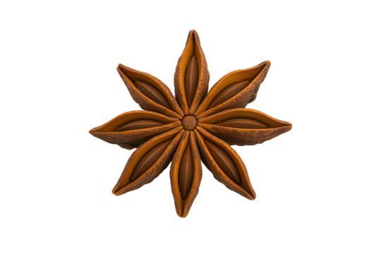 Star anise pod with eight pointed segments radiating from the center.