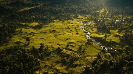Aerial View of a Serene Landscape with Lush Green Meadows and a Gentle Stream Flowing Through the Natural Scenery