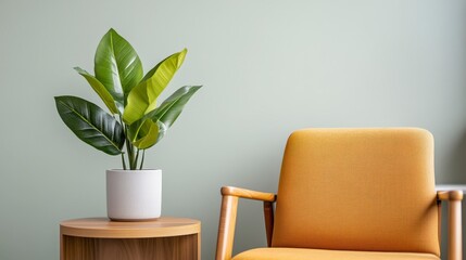 Inviting and Calm Therapist Office Space with Comfortable Chair and Indoor Plant for Relaxing Environment