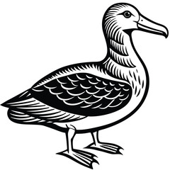 Adobe Illustrator ArtworkTurkey Vulture flying and searching for food
