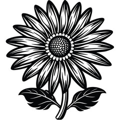 Adobe Illustrator Vector daisy chamomile isolated on white backgroundrtwork