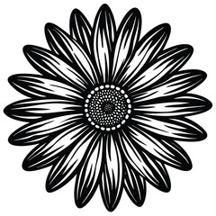 Adobe Illustrator Vector daisy chamomile isolated on white backgroundrtwork