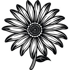 Adobe Illustrator Vector daisy chamomile isolated on white backgroundrtwork