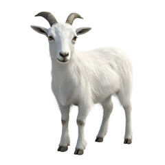 Fototapeta premium 3D Render of Realistic Goat with Detailed Fur and Textures, Isolated on White Background, Lifelike Farm Animal Illustration for Agriculture, Wildlife, Nature, and Educational Projects