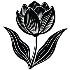 Adobe IllustratorColorful tulip silhouette, minimalistic vector art for elegant decor Artwork