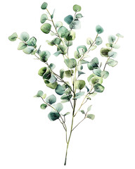 Highly detailed illustrations of various trees, leaves, grasses, and botanical elements, featuring realistic, minimalist, and abstract compositions on a white background.