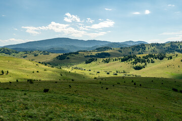 Obraz premium steppe, prairie, veld, veldt - grassy plain in the temperate and subtropical zones of the northern and southern hemisphere. Plateau. Hills.