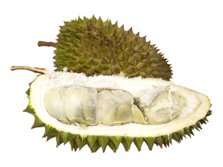 Obraz premium Fresh Ripe Durian Fruit with Spiky Green Shell and Creamy Yellow Flesh Isolated on White Background