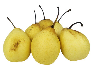 Group of Fresh Ripe Yellow Asian Pears with Natural Spots and Stems Isolated on White Background