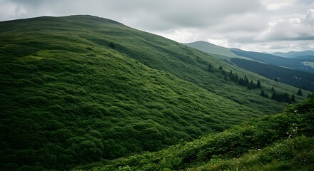 Obraz premium Rolling Green Hills Under a Cloudy Sky Landscape