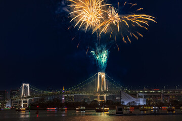 冬の花火お台場レインボー花火