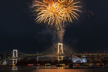 冬の花火　お台場レインボー花火