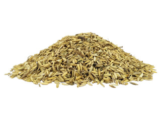 Close-Up of a Pile of Paddy Rice Seeds Isolated on White Background