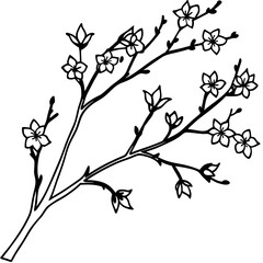 Spring Blossom Branches Silhouette on White Background