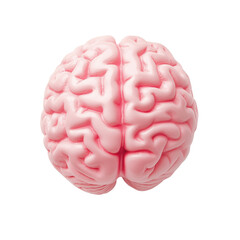 detailed pink brain model showcasing intricate folds and textures, perfect for educational or artistic purposes, top view, isolated on transparent background