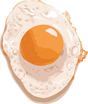 Vector illustration of a sunny side up fried egg