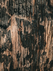 Close-Up of Weathered and Burnt Wooden Surface Texture
